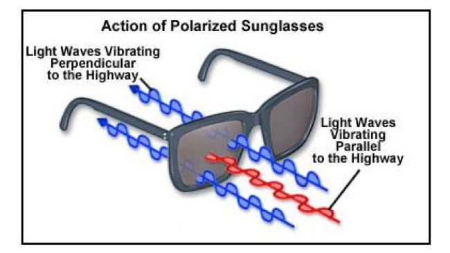 What Are Polarized Sunglasses? Sierra Blog, 48% OFF